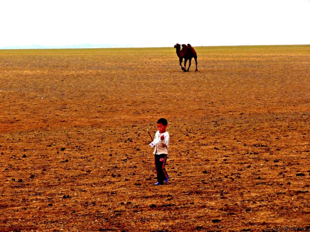Steppe back in time in Mongolia