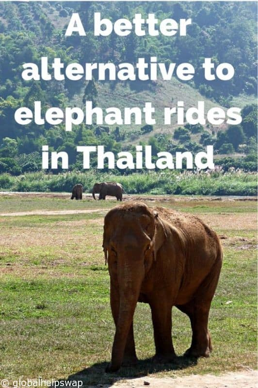 Elephant Rides in Thailand