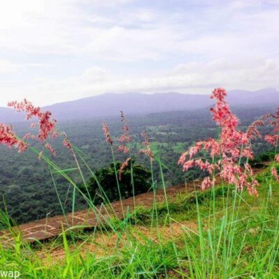 Sigiriya Rock Fortress Climb, Sri Lanka