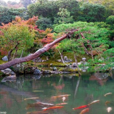 Things to do in Kyoto