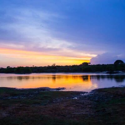 Cinnamon Wild, Yala, Sri Lanka