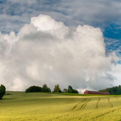 Volunteer on a biodynamic farm in Norway