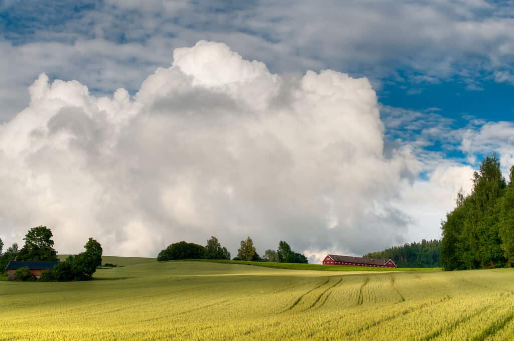 Volunteer on a biodynamic farm in Norway