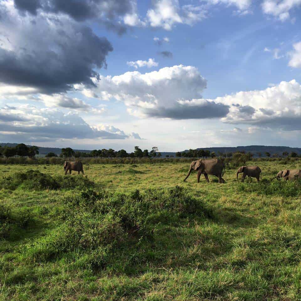 Four Tips for Choosing a Sustainable Safari Camp