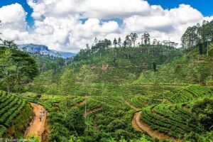 Alternative Holiday Destinations