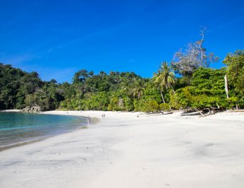 Manuel Antonio Costa Rica