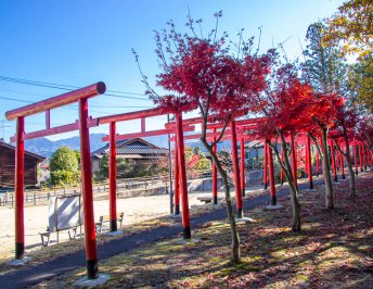 Tori gates along the Nakasendo Trail in Nakatsugawa