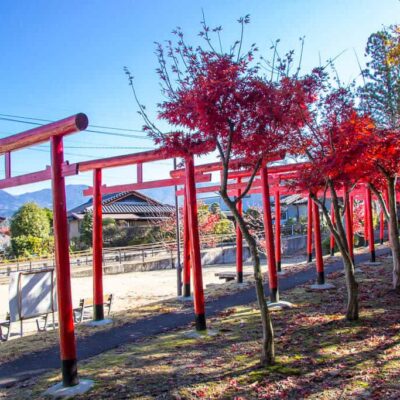 Tori gates along the Nakasendo Trail in Nakatsugawa