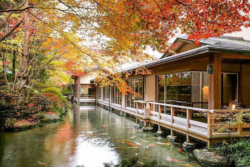 Nakasendo Trail (Following Ancient Footsteps In Japan)