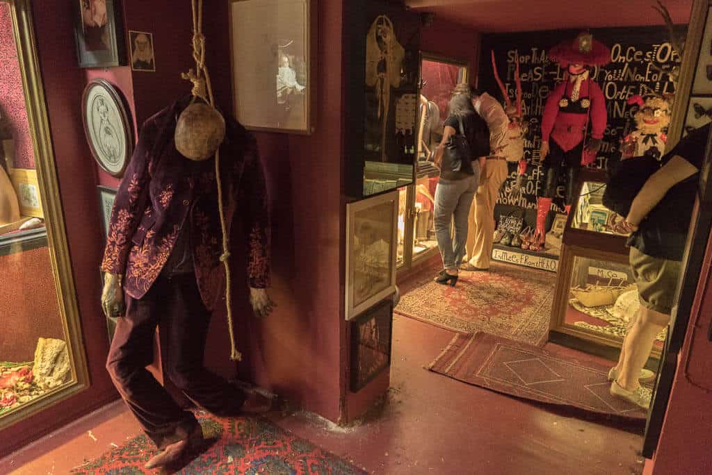 The Viktor Wynd Museum of Curiosities, Fine Art & Natural History