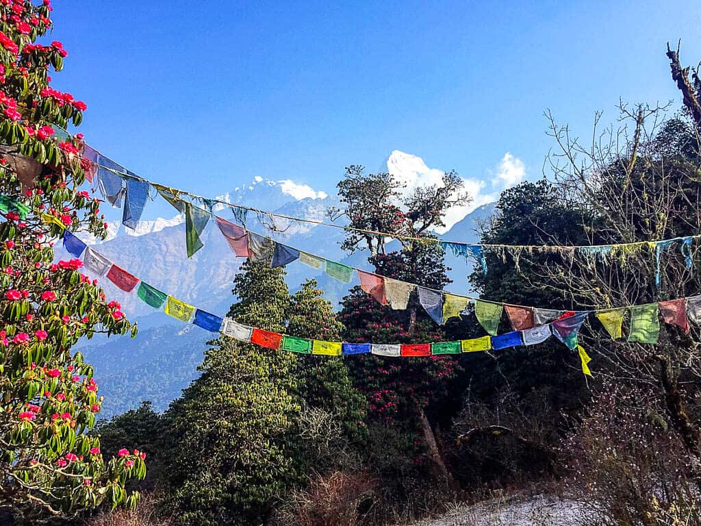 Poon Hill Trek, Nepal