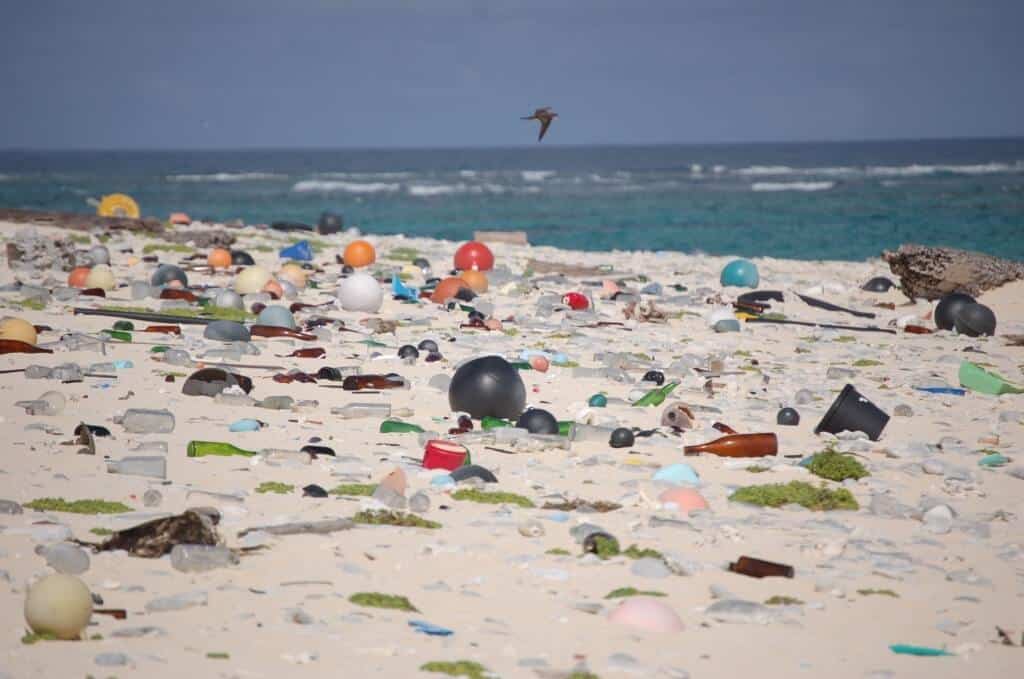 Beach full of plastic