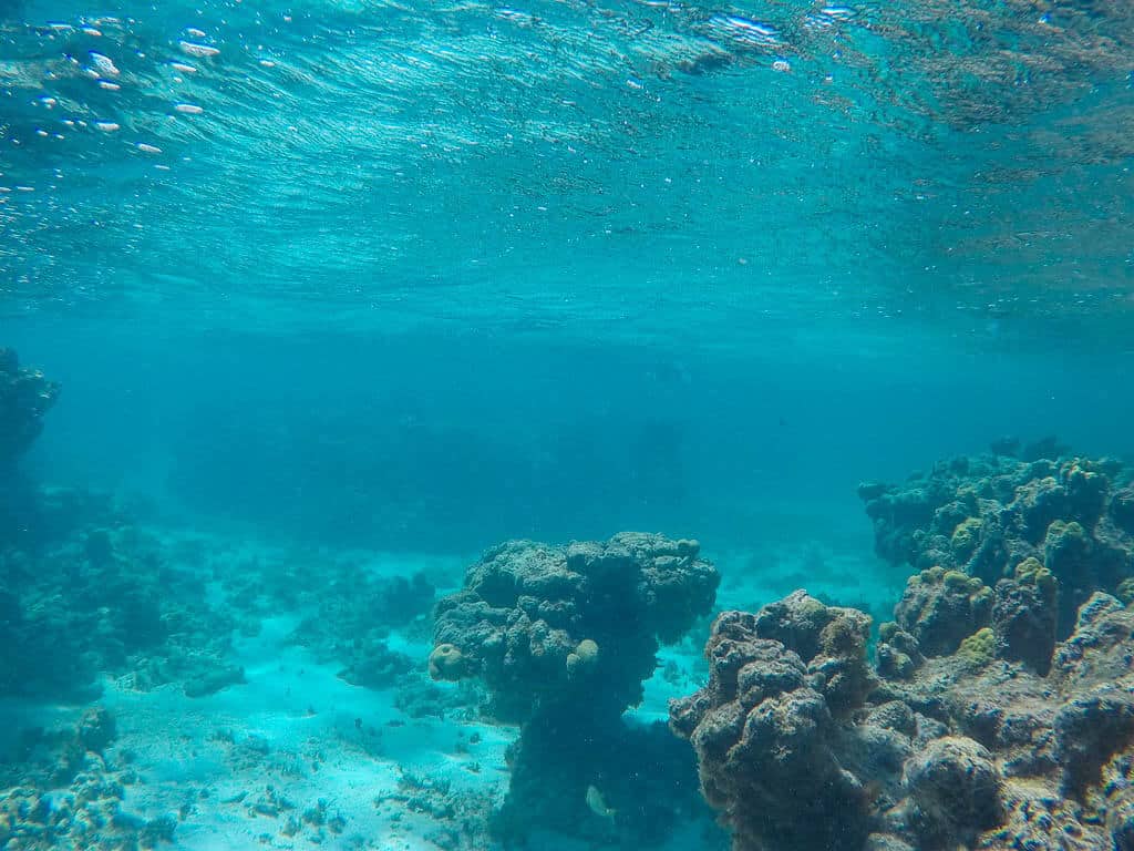 Snorkelling in Antigua