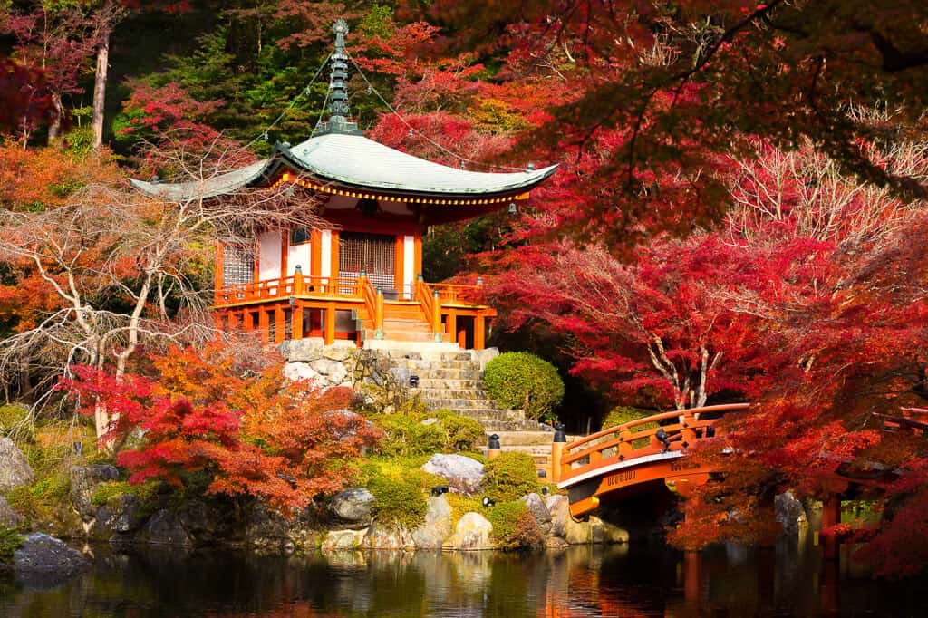 Amazing Places To Visit In Japan | Japan Trip Planner