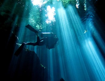 Cenotes Riviera Maya