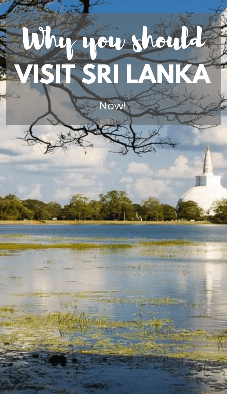 Is Sri Lanka safe to visit? Why you should visit Sri Lanka now.
