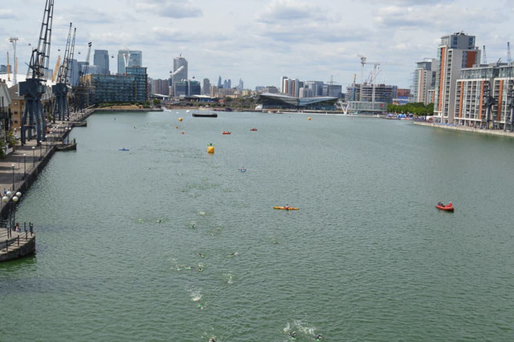 London Royal Docks Open Water Swimming