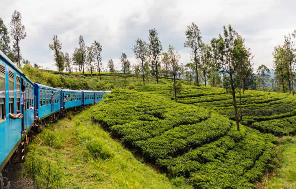 Negombo to Kandy by train