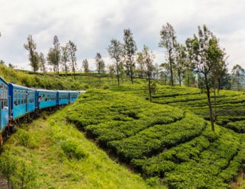 Negombo to Kandy by train