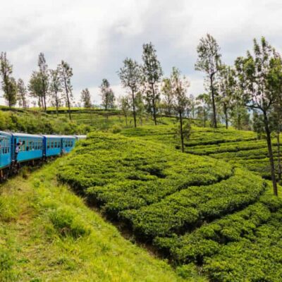 Negombo to Kandy by train