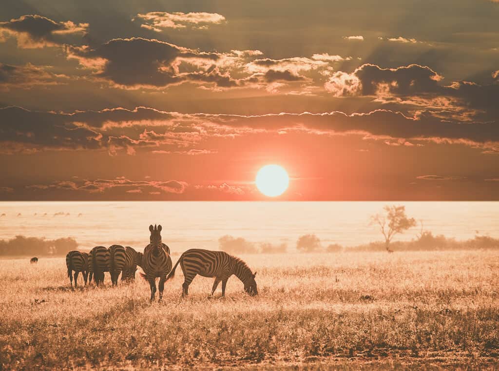 Volunteering in South Africa
