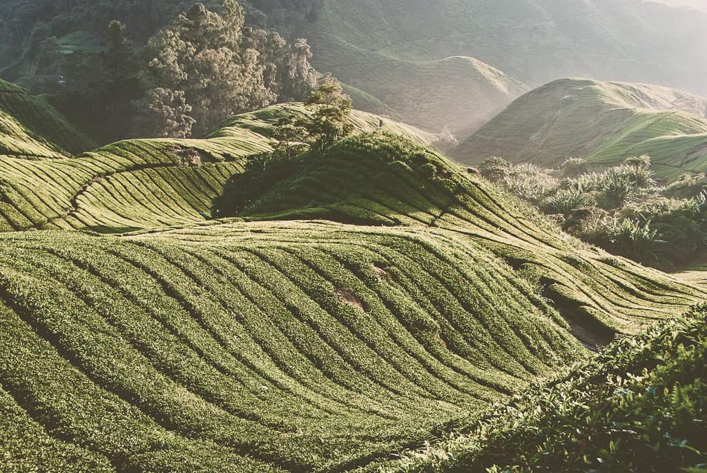 Malaysia Travel Guide