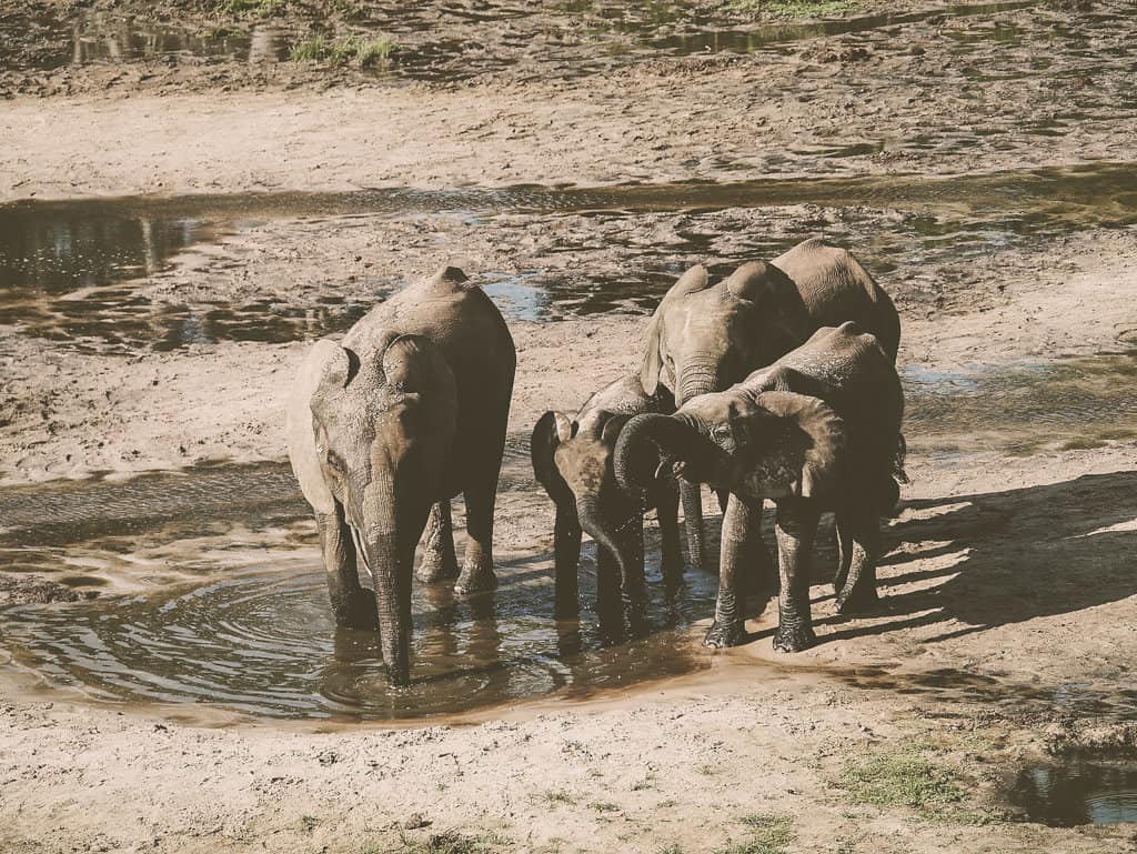 Volunteering in the Central African Republic