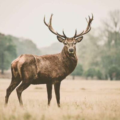 It's the environment stupid!