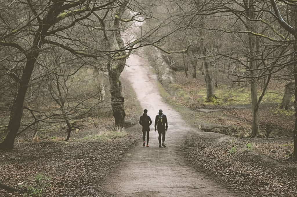 Epping Forest Walks