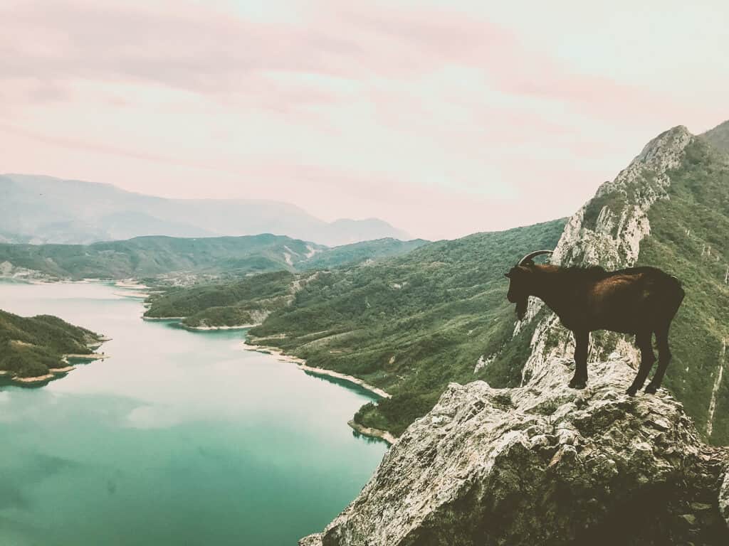 Volunteering in Albania