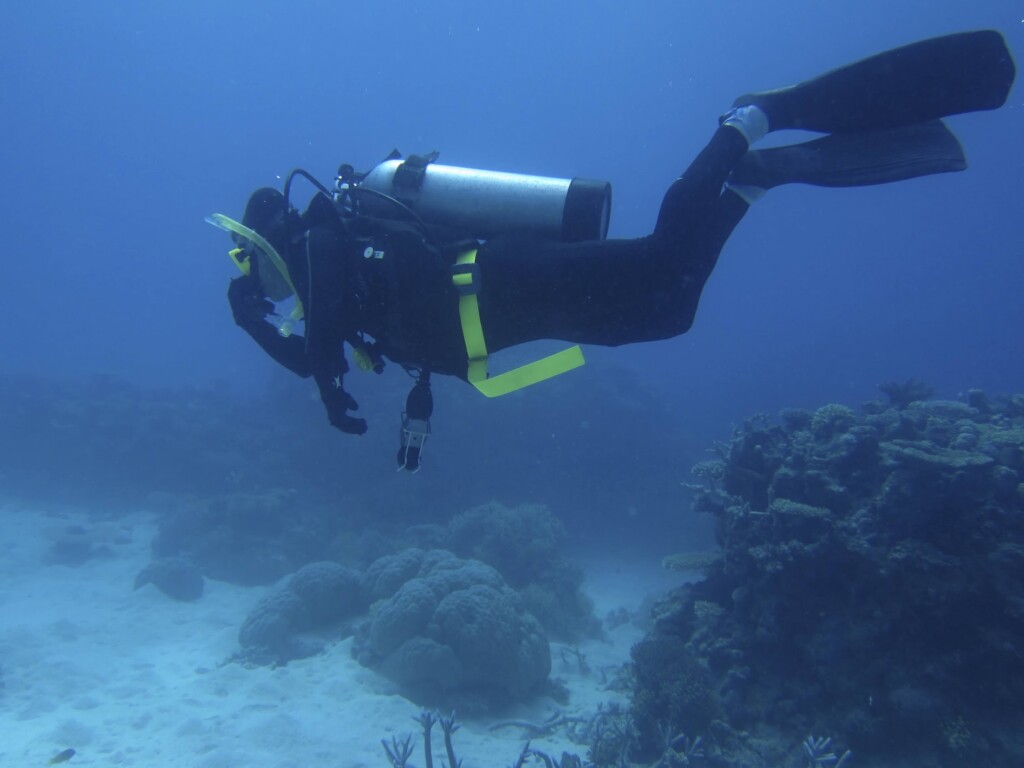 House Reef, Qawra