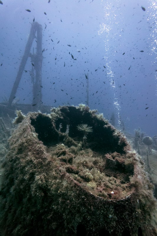 Karwela MV