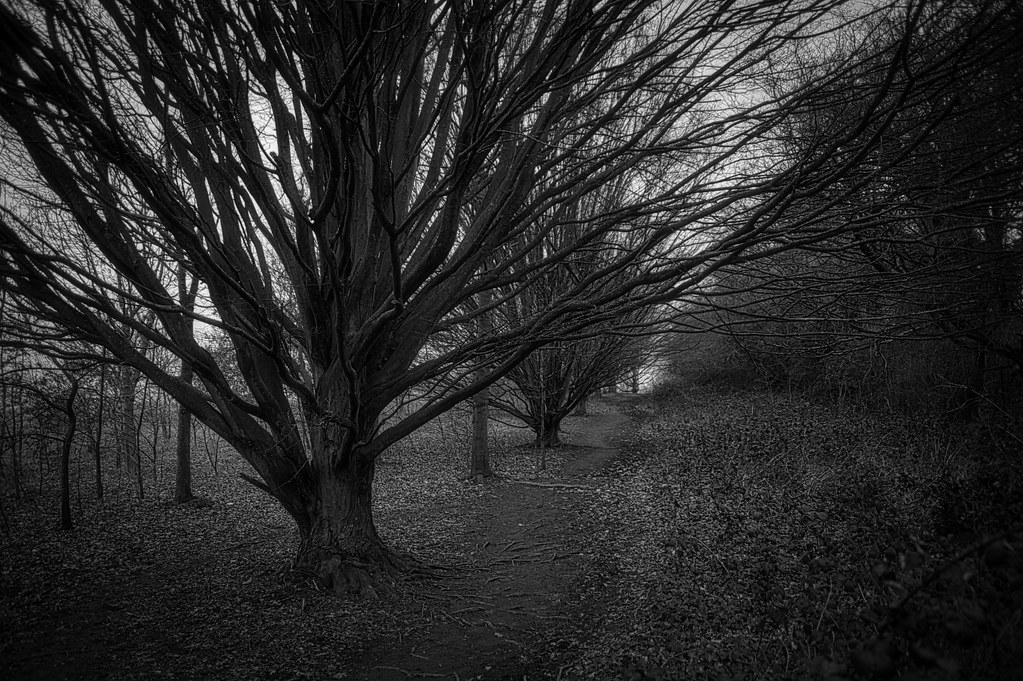 Lloyd Country Park