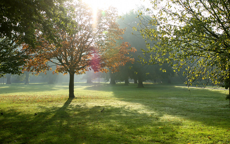 Tooting Common