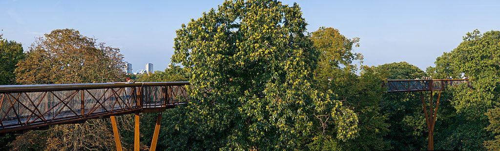 Treetop Walks - Treetop Walkway, Kew Gardens