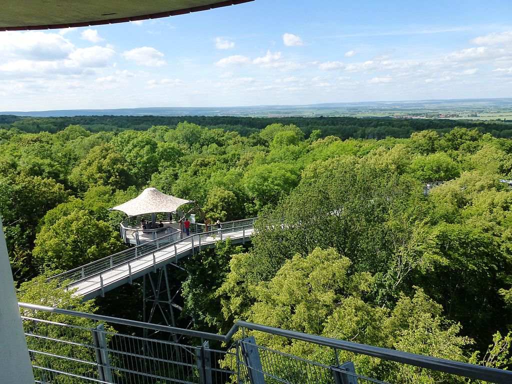 Hainich Canopy Walk, Germany