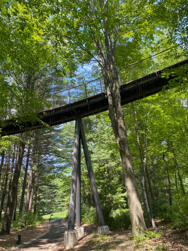 Whiting Forest of Dow Gardens Walkway, Michigan, USA